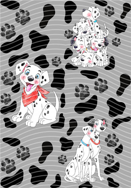 A5 Notebook Wraps-A 2681